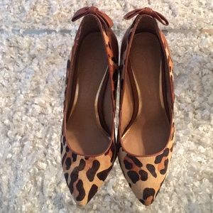 Leopard Print Pumps